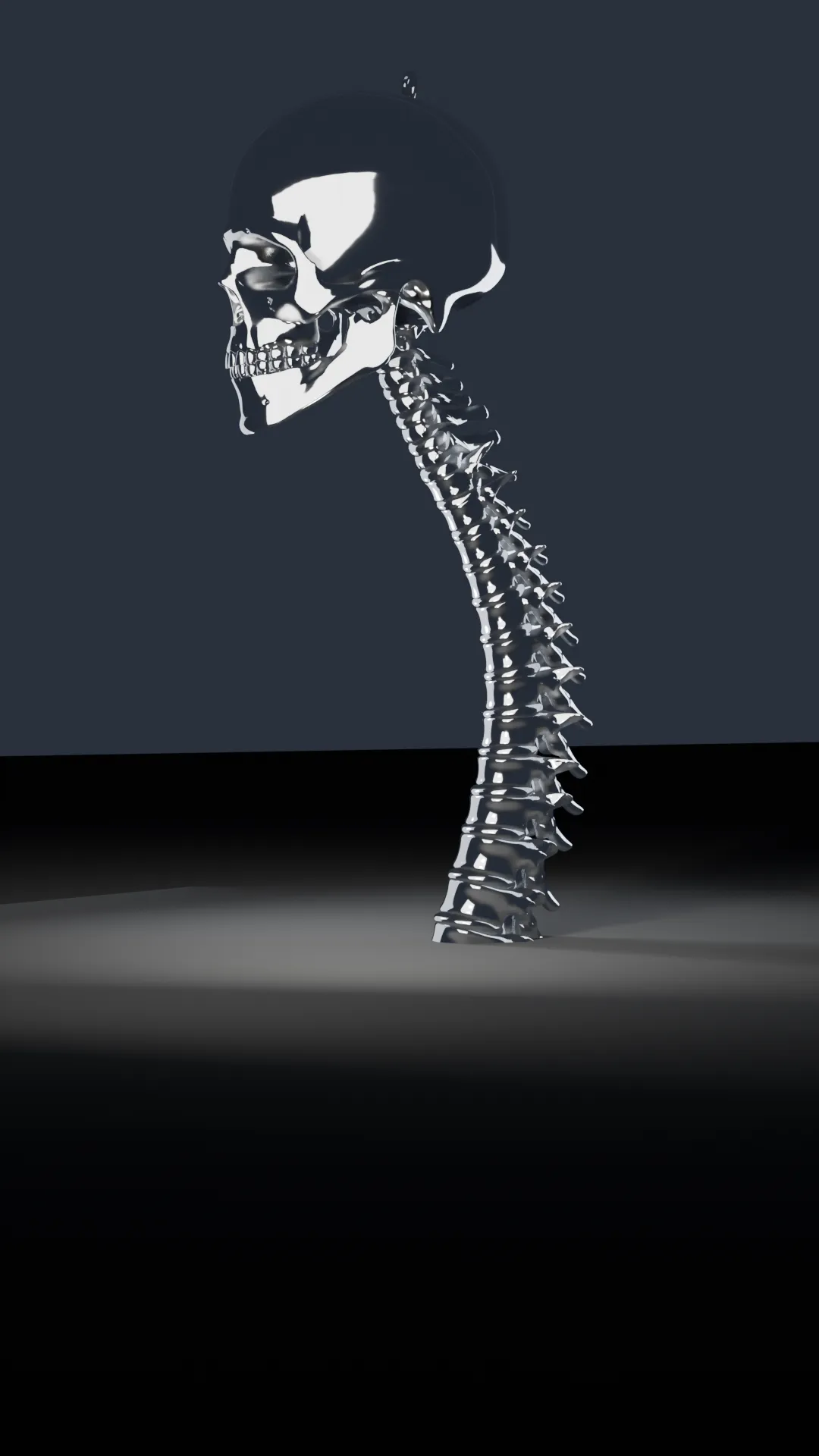 A chrome skull crowning a full curved human spine, side profile.