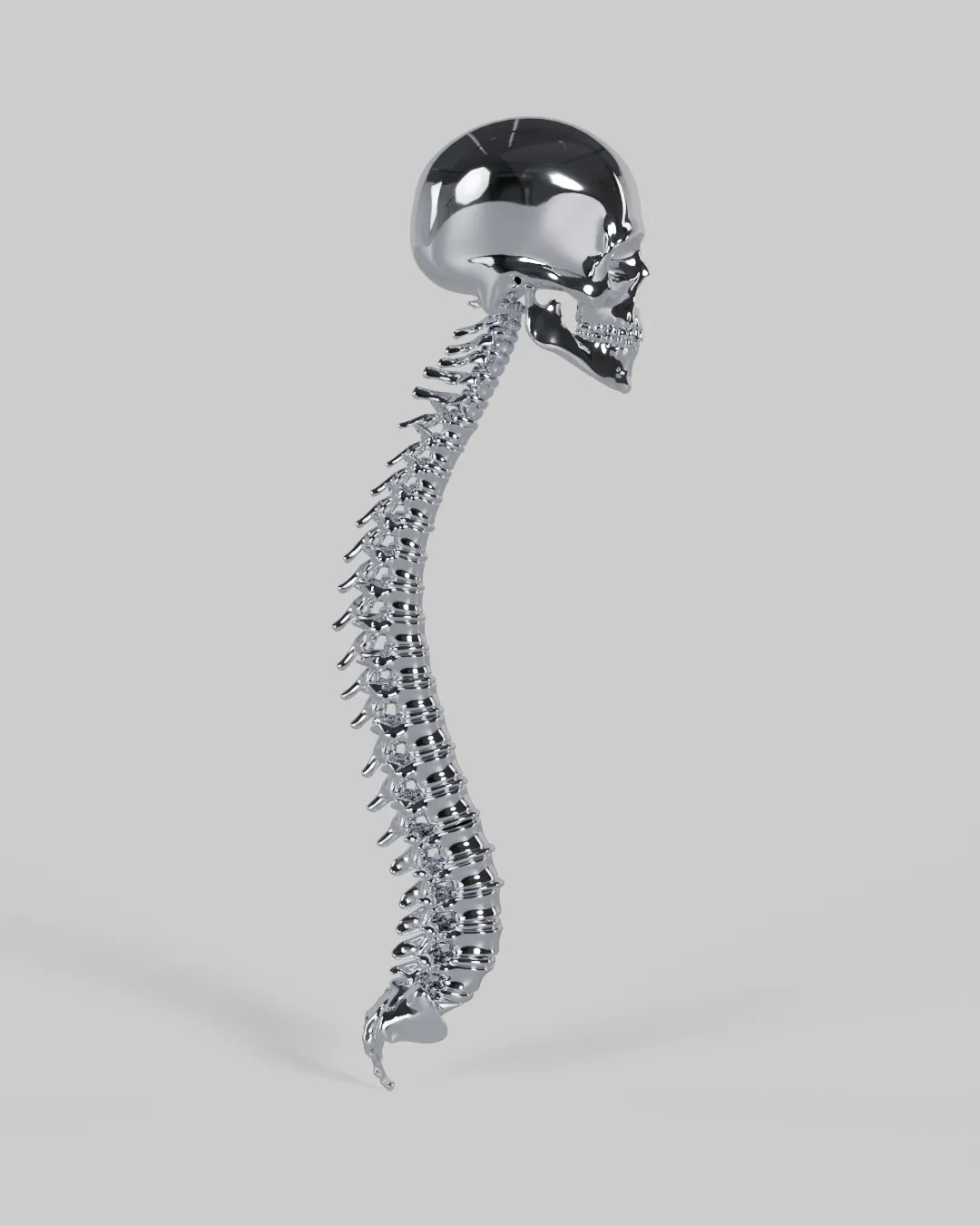 A chrome skull crowning a full curved human spine, side profile.