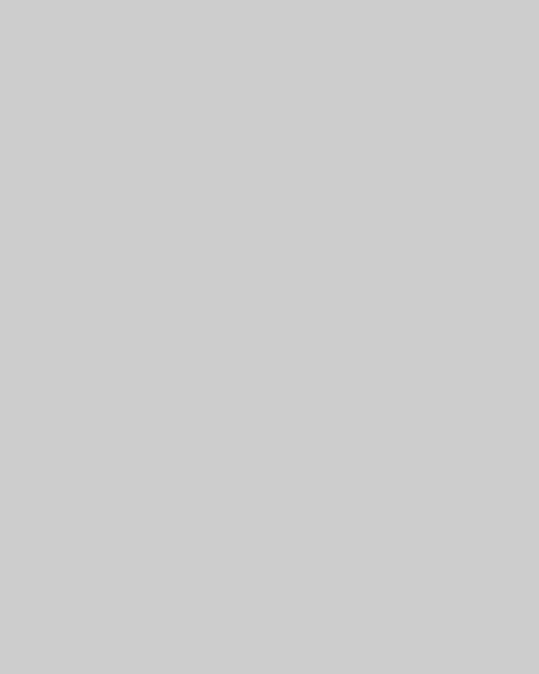 A blank white frame with no object.