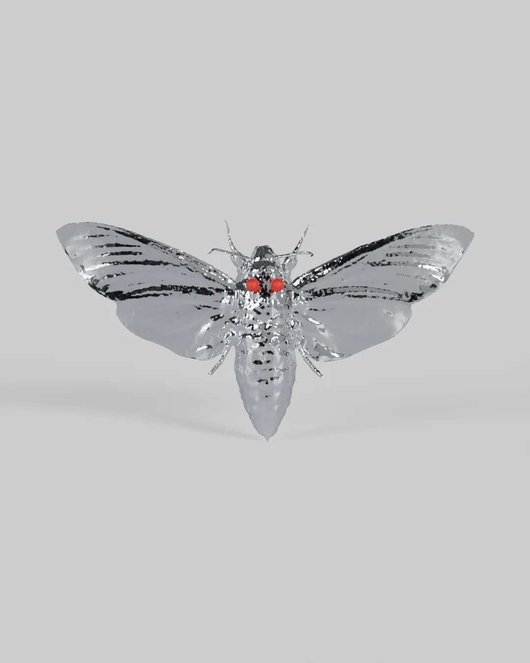 A chrome death's-head hawk moth, wings spread, skull marking on the thorax.